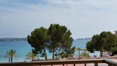 Hotel Creta Paguera: Room Double or Twin DELUXE - photo 36