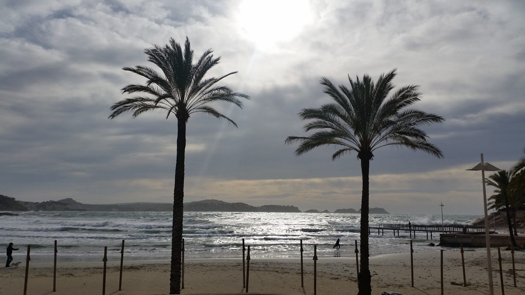 Hotel Creta Paguera: Beach