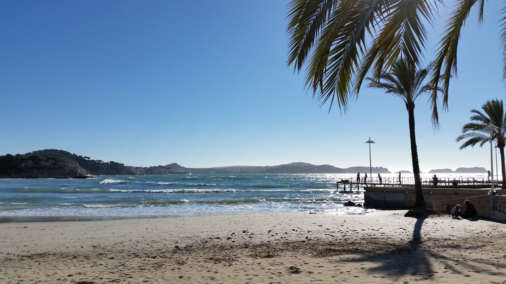 Hotel Creta Paguera: Beach