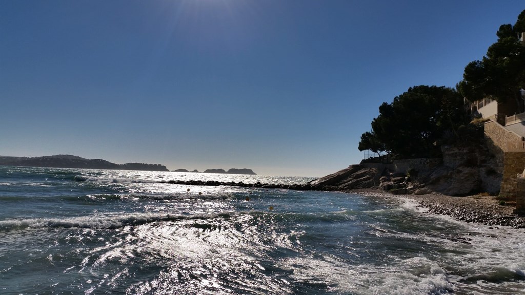 Hotel Creta Paguera: Beach