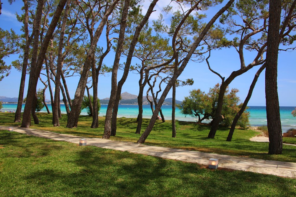 IBEROSTAR Playa de Muro: Beach