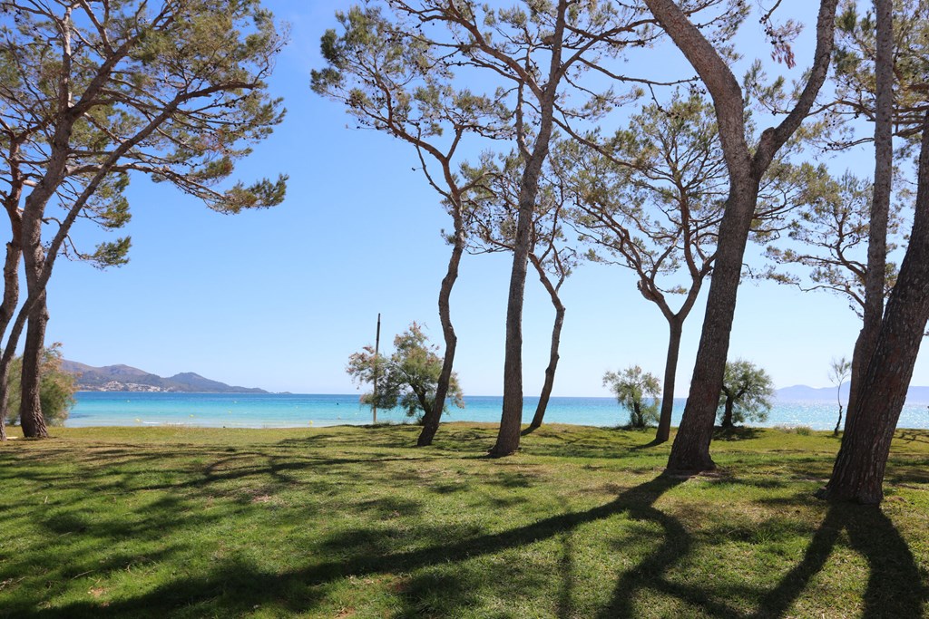 IBEROSTAR Playa de Muro: Beach