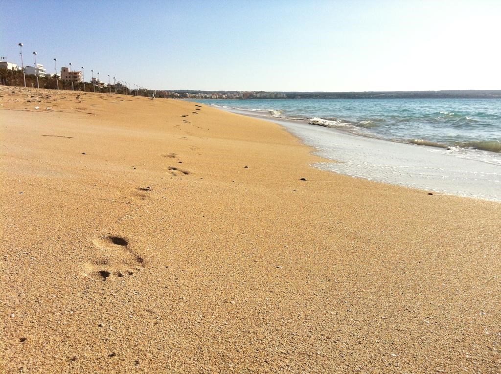 Houm Nets: Beach