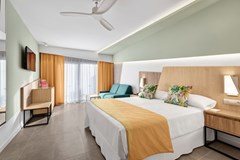 Riu Playa Park: Room Double or Twin WITH PRIVATE POOL - photo 30