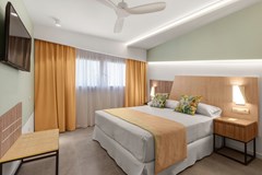 Riu Playa Park: Room Double or Twin WITH BALCONY - photo 46