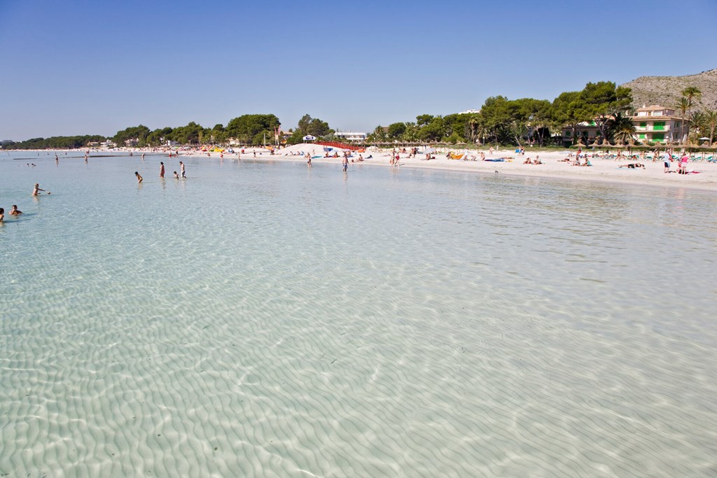 JS Sol de Alcudia: Beach