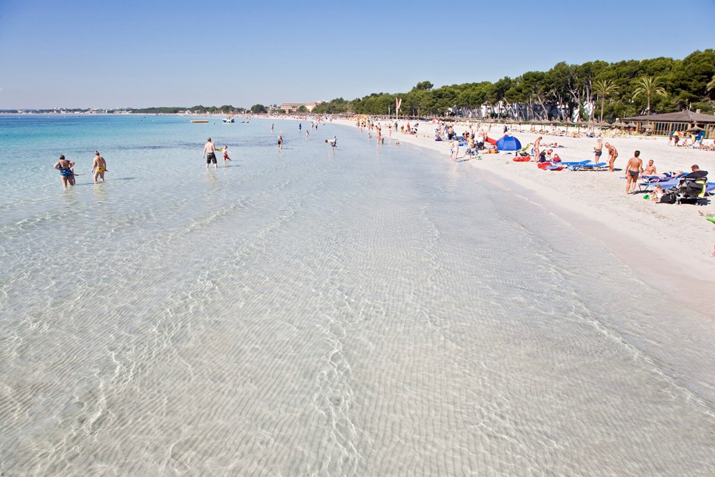 JS Sol de Alcudia: Beach