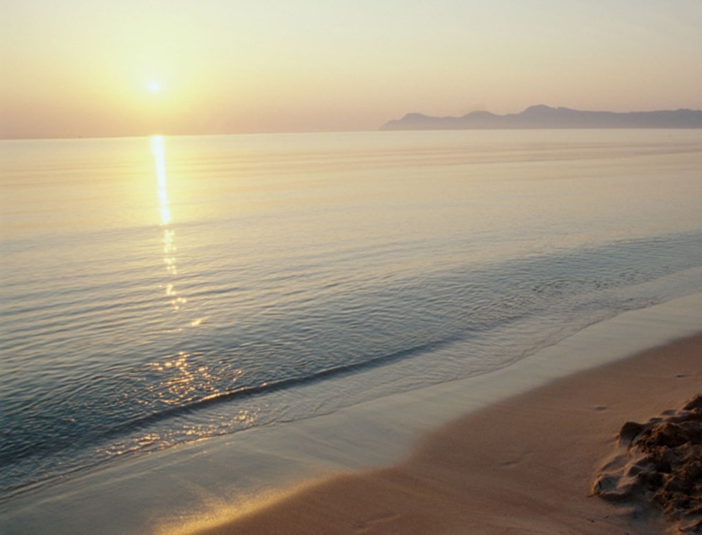 JS Sol de Alcudia: Beach