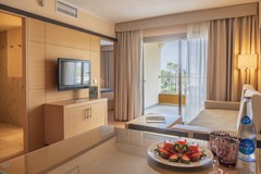 Zafiro Tropic: Room APARTMENT PREMIUM - photo 128