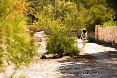 Hotel Panoramic Alcudia: Beach - photo 11