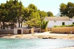 Hotel Panoramic Alcudia: Beach - photo 15