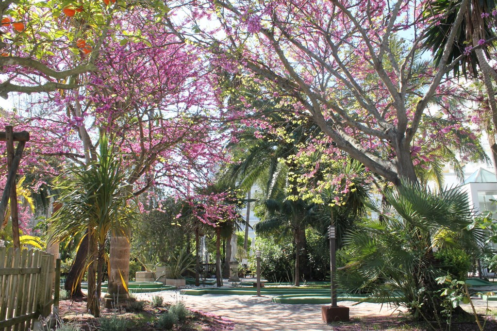 Bahia de Alcudia Spa & Cycling Station: Terrace