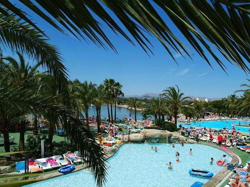 Club Mac Alcudia: Pool