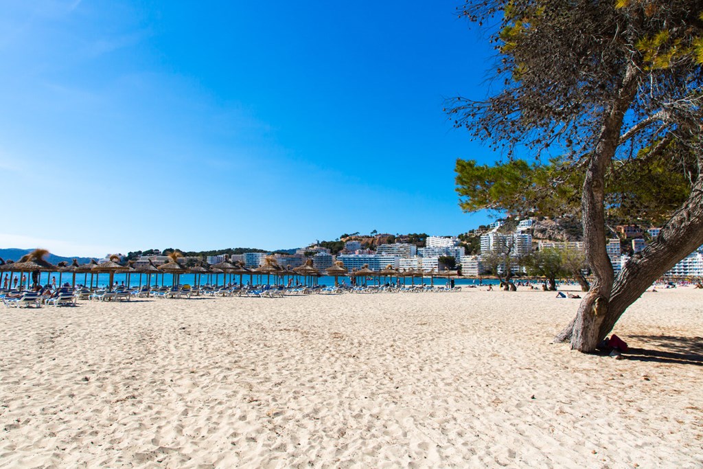 Senses Santa Ponsa - Adults Only: Beach