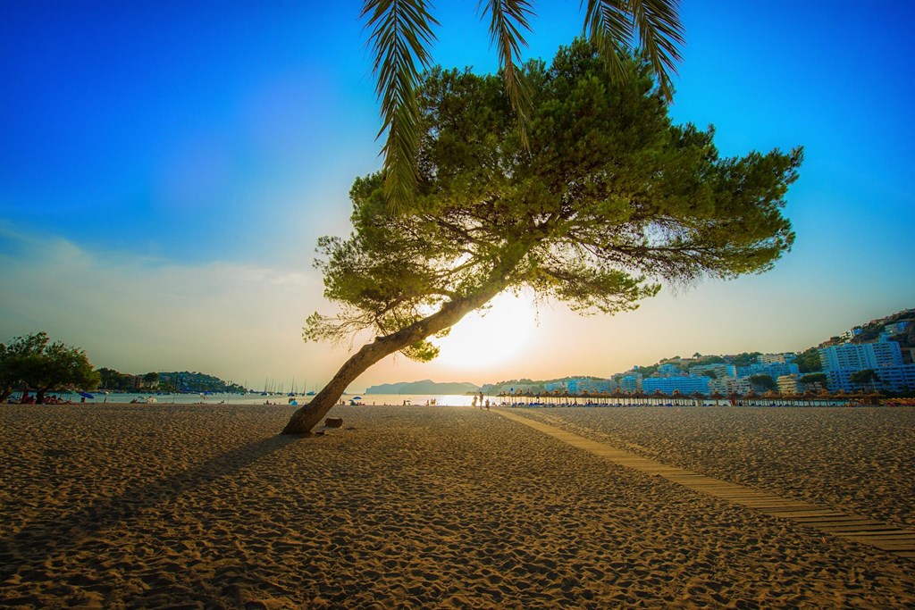 ONA Surfing Playa: Beach