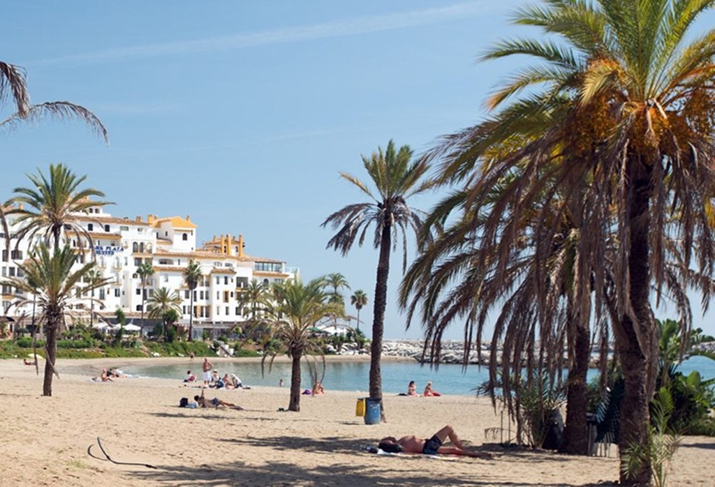 Apartment in Marbella, Malaga 102958: Beach