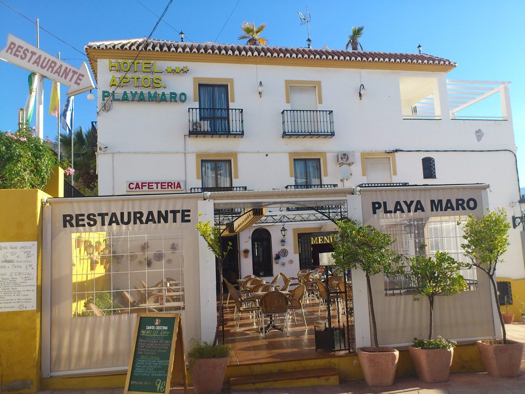 Hotel Playamaro: General view