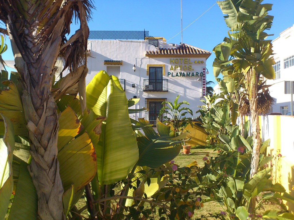 Hotel Playamaro: General view