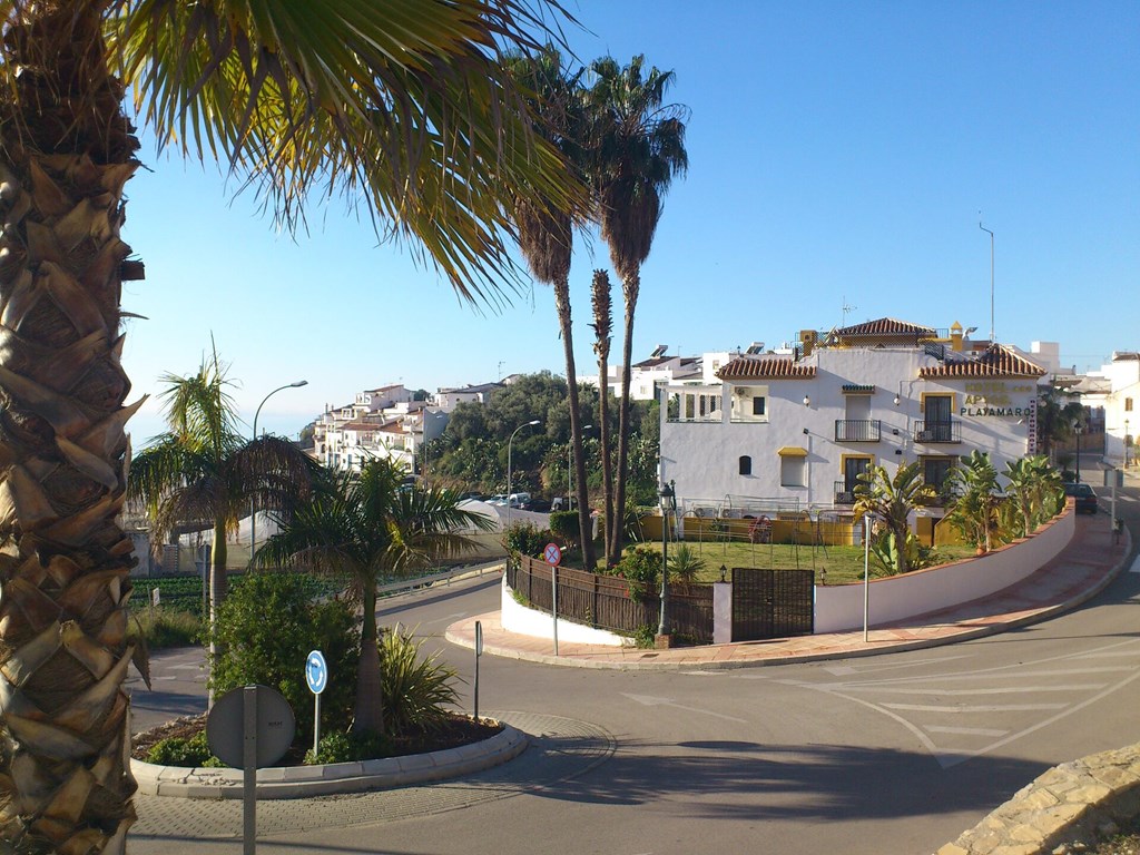 Hotel Playamaro: General view