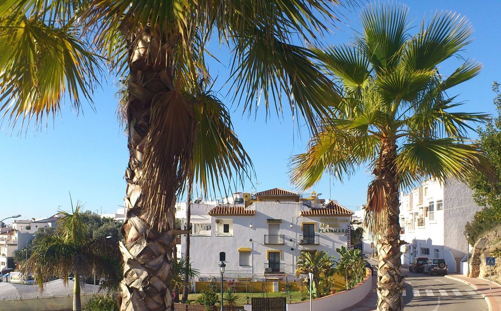 Hotel Playamaro: General view