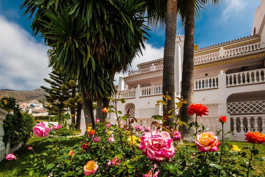 Las Rosas de Capistrano: General view