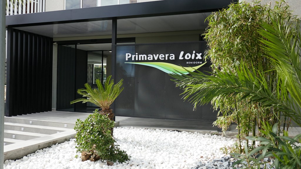 Primavera Loix: General view