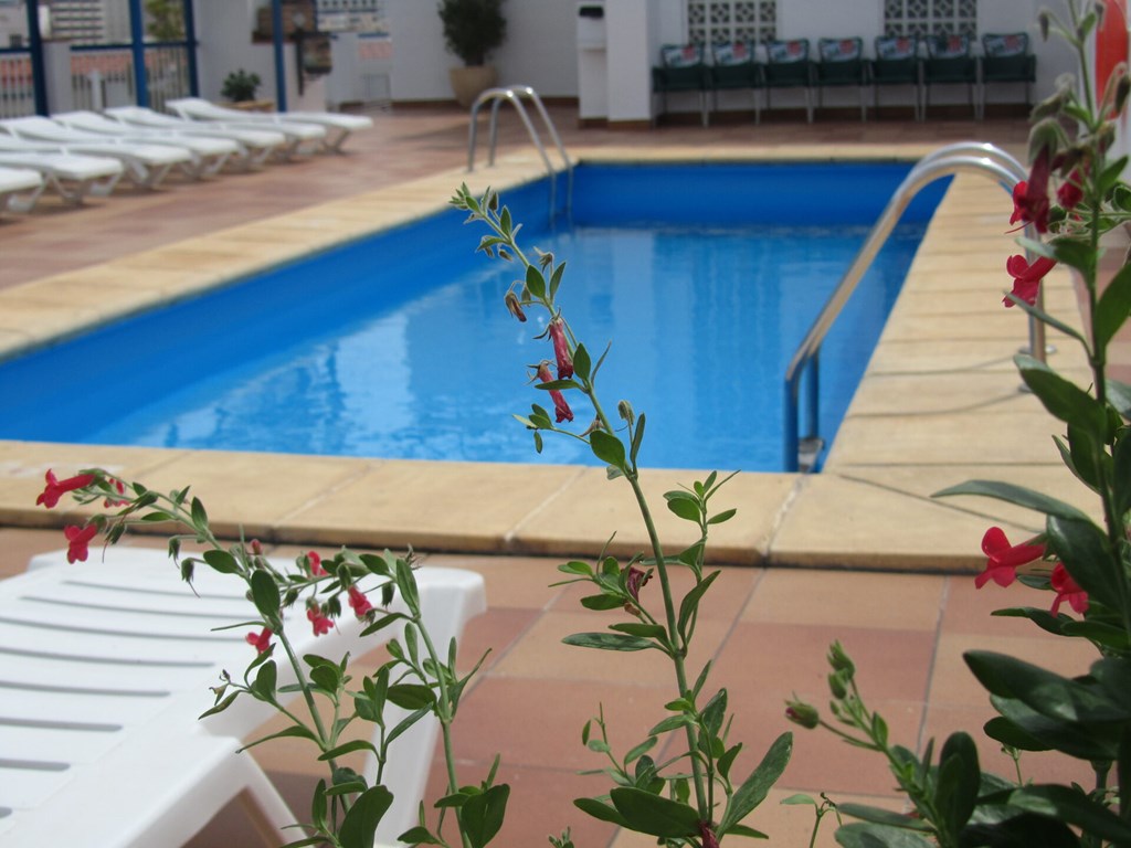 Mareny Benidorm: Pool