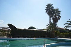 Hotel Parco Serrone: General view - photo 12