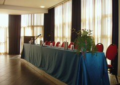 Majesty: Conferences - photo 16