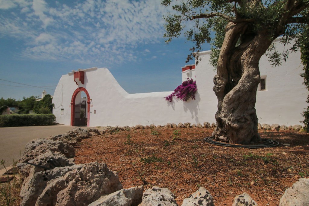 Masseria Luce B&B: Lobby