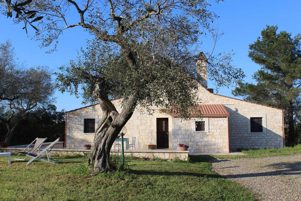 Trulli Terra Magica: Room APARTMENT STANDARD