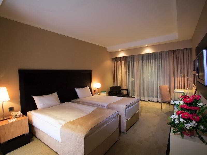 Holiday Inn Istanbul Airport: Room