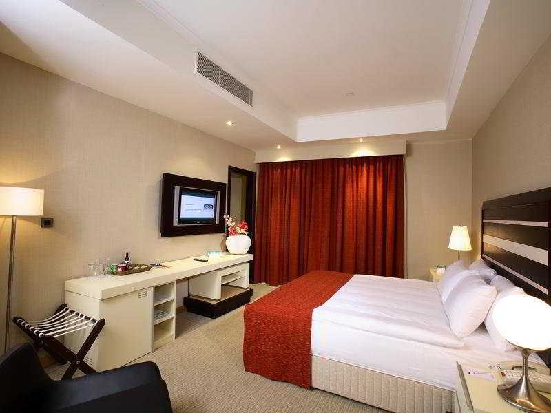 Holiday Inn Istanbul Airport: Room