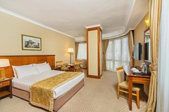 Grand Oztanik: Room DOUBLE ECONOMY - photo 41