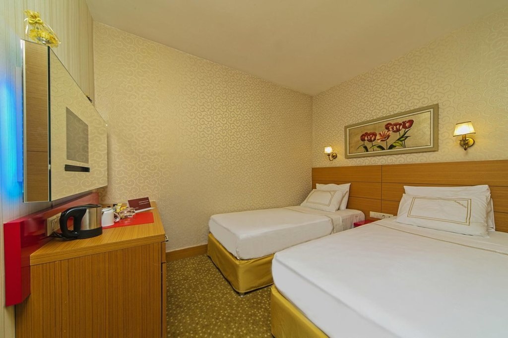 Almina Hotel Istanbul: Room DOUBLE ECONOMY