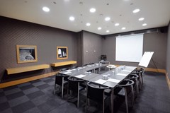 Mercure İstanbul The Plaza Bosphorus Hotel: Conferences - photo 47