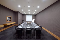 Mercure İstanbul The Plaza Bosphorus Hotel: Conferences - photo 49