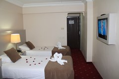 Buyuk Sahinler Hotel: Room TRIPLE STANDARD - photo 20