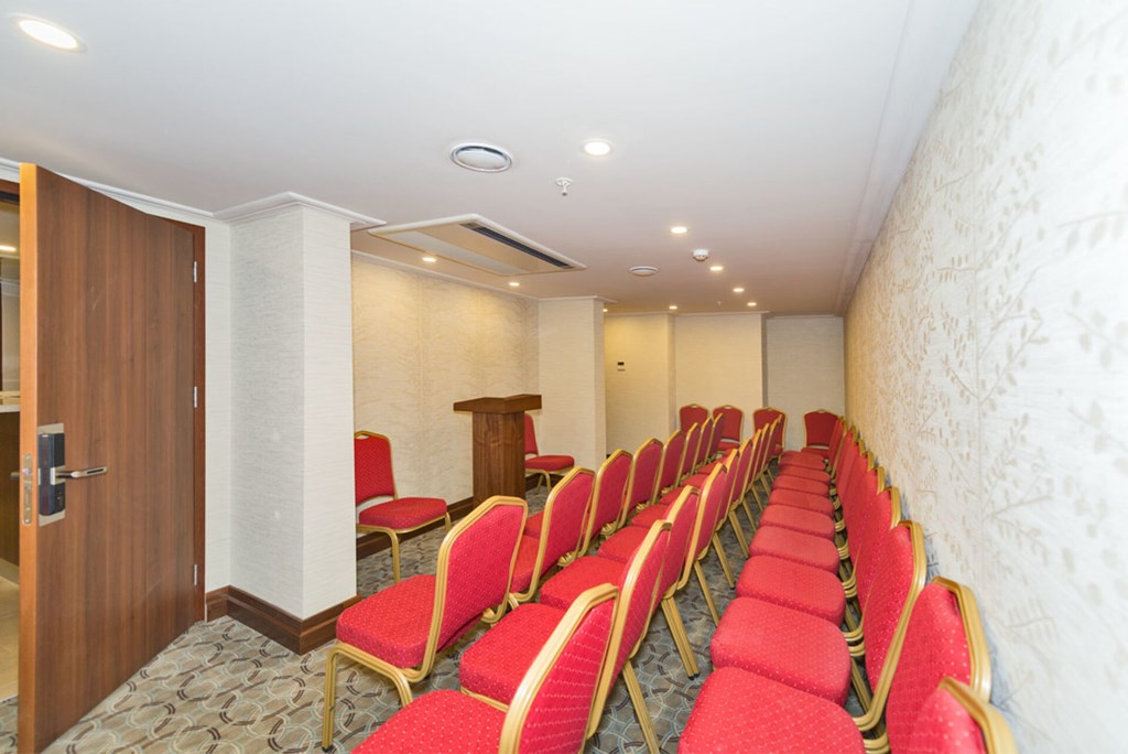 Bekdas Hotel Deluxe: Conferences