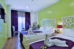 Ayasultan Boutique Hotel: Room TRIPLE STANDARD - photo 46