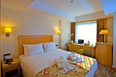Vizon Hotel Osmanbey: Room DOUBLE ECONOMY - photo 10
