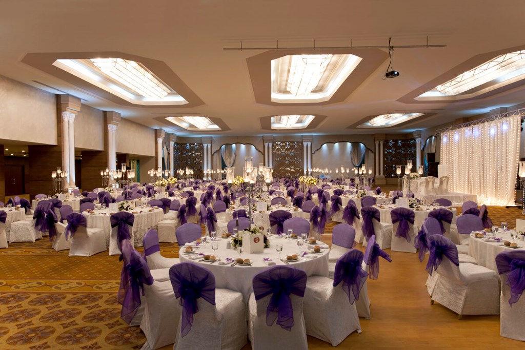 Kaya Istanbul Fair & Convention Hotel: Conferences