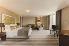 Wyndham Grand Istanbul Europe: Room SINGLE STANDARD - photo 93