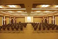 ISG Airport Hotel: Conferences - photo 8