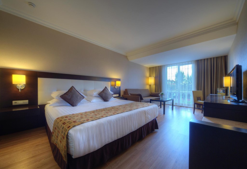 Eresin Topkapi Hotel: Room DOUBLE STANDARD