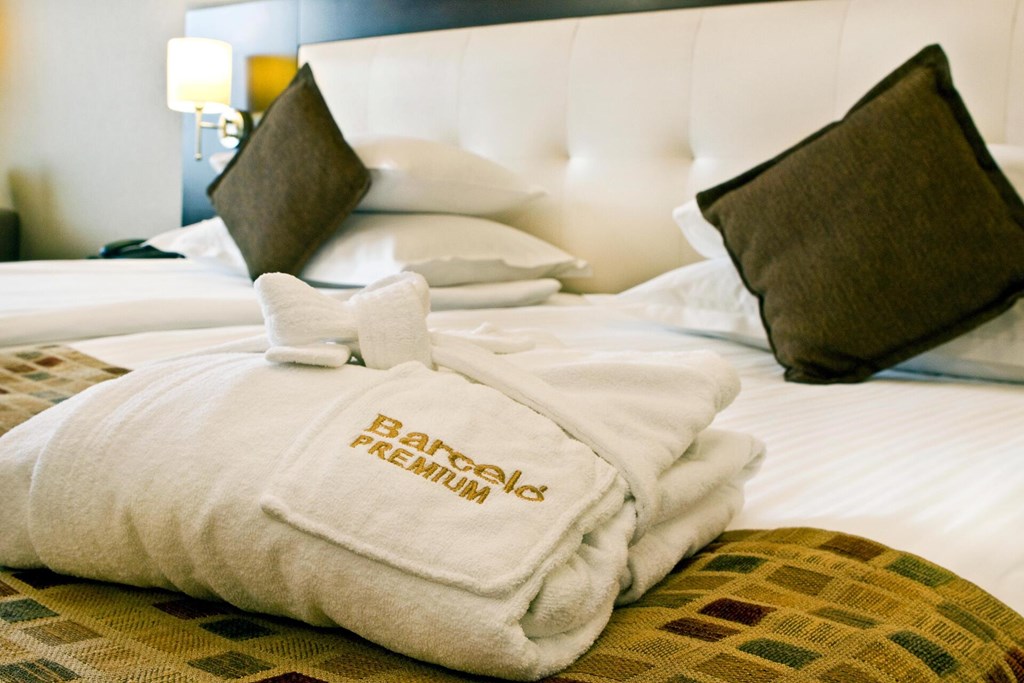 Eresin Topkapi Hotel: Room DOUBLE PREMIUM