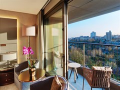 The St. Regis Istanbul: General view - photo 121