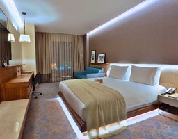 Bomo Dosso Dossi Hotels Downtown: Room DOUBLE EXECUTIVE