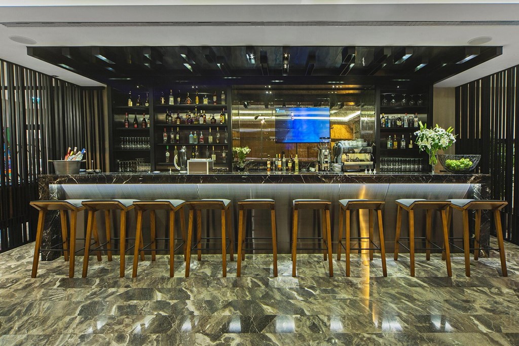 Arts Hotel Istanbul Bosphorus: Bar