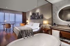 Lionel Hotel Istanbul: Room DOUBLE EXECUTIVE - photo 45